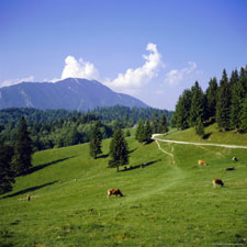 Romania-Transylvania-Castles of Transylvania